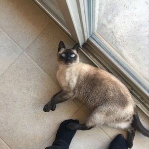 Meet your Posher, Victoria